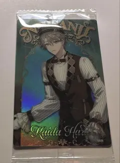 猫好き様 リクエスト 2点 まとめ商品