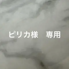 【専用】ミセス　フォトカ　9点