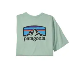 パタゴニア　Tシャツ　ミントグリーン