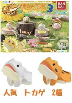 【フトアゴヒゲトカゲ2種】ハグコット　はちゅこっと3 バンダイ