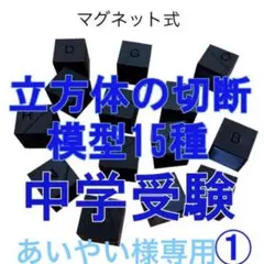あいやい様専用　マグネット式 立体模型 15種 中学受験