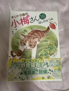 キジトラ猫の小梅さん 18巻