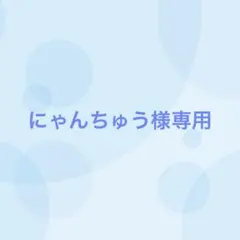【9番目対応】にゃんちゅう様専用