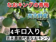 売りつくし 梅 正品 4キロ なおキングの梅 青梅のサムネイル