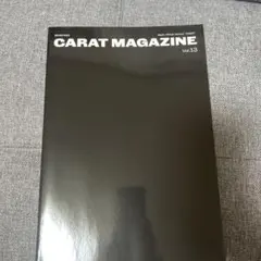 SEVENTEEN CARAT MAGAZINE vol.13