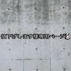 値下げします様 リクエスト 2点 まとめ商品