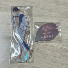 2025年最新】free!/キャラクター名：七瀬 遙 アクリルスタンドの人気