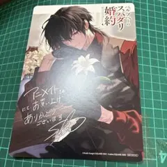 アニメイト特典ビジュアルボード　ベル・プペーのスパダリ婚約　2巻