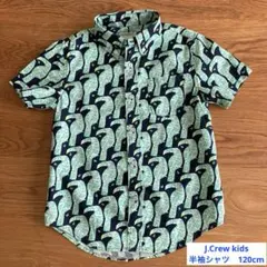 【美品】J Crew kids　半袖シャツ　120cm