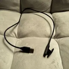 ジャンク　Garmin ケーブル
