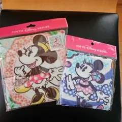 ディズニーリゾートウォッシュタオル&ミニタオル