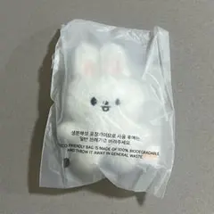 straykids スキズ 本国 ペンミ skzoo マイクロ リービット