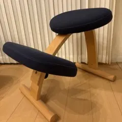 バランスイージー　バランスチェア　サカモト　正規品　姿勢矯正
