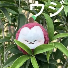 2026年最新】ウジ ぬいぐるみの人気アイテム - メルカリ