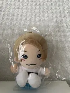 Aぇ! group 正門良規　ちびぬい