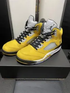 Nike Air Jordan 5 Retro 