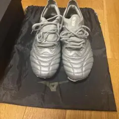 MIZUNO MORELIA NEO IV β JAPAN 24.5cmのサムネイル