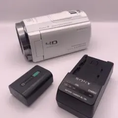 2025年最新】hdr-cx535の人気アイテム - メルカリ