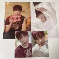 &team シーグリ 2026 ハルア HARUA