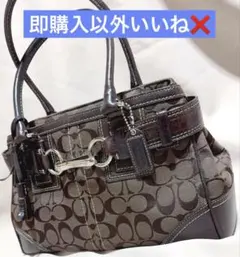 美品 コーチ シグネチャー ハンプトンズ トートバッグ キャンバス