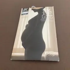 Item thumbnail for item 6582707e-b721-4753-824d-408bb3c2ab2a