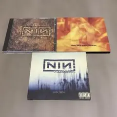 2026年最新】nine inch nails レコードの人気アイテム - メルカリ