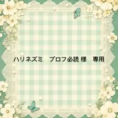 ハリネズミ　プロフ必読 様　専用