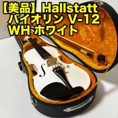 入門者向け！美品！Hallstatt製V-12BK 4/4 ケース付属バイオリン