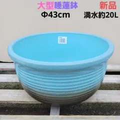 新品 特大 ∅51 陶器 睡蓮鉢 メダカ鉢 難有 ヒスイグリーン 青＆緑 LLB