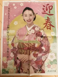 新品タグ付きケイタマルヤマ　浴衣　武井咲着用モデル　定価47300円税込 新品タグ付きケイタマルヤマ 浴衣 武井咲着用モデル 定価47300円