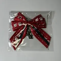 セガラッキーくじCatChu! アクセサリーチャーム