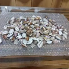 Item thumbnail for item 467aa96a-831b-4844-a9af-e19f4560ce0a