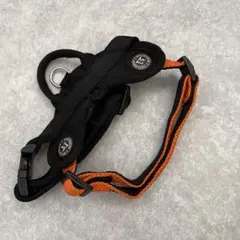 Item thumbnail for item 13919b75-73b1-42bd-9e32-10f5228393b5