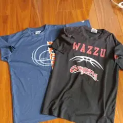 フロリダ大学＆ワズー大学 Tシャツ 2枚セット Sサイズ
