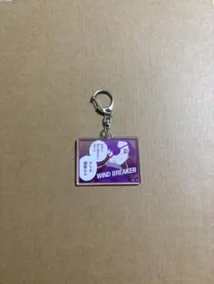 蘇枋隼飛 WIND BREAKER トレーディングメモリーズキーホルダー