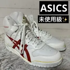 アシックス　ファブレジャパン　バスケットボールシューズ　新品未使用品 新品未使用 アシックス ファブレジャパン 当時物 廃盤オリジナル