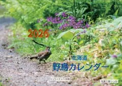 北海道の野鳥　オリジナル写真カレンダー2026年（見開きA3）