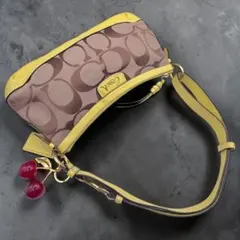 COACH コーチ ワンショルダー パーク シグネチャー キャンバス 希少カラーのサムネイル