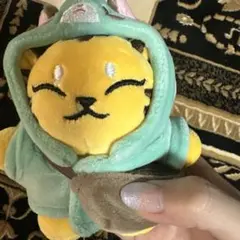 2025年最新】Seventeen ホシ ぬいぐるみ タムタムの人気アイテム