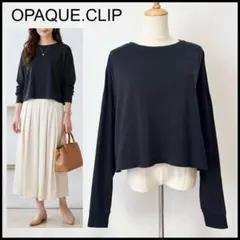 【美品】オペークドットクリップ 長袖 Tシャツ トップス ショート丈 ブラックM