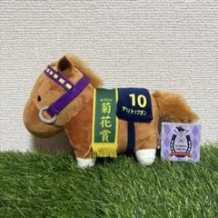 2026年最新】マヤノトップガン ぬいぐるみの人気アイテム - メルカリ