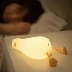 新品！アヒル　ライト