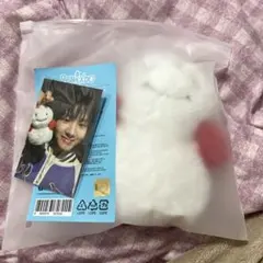 BOYNEXTDOOR ウナク BBNEXDO ウンアギ キーリング