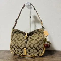 Coach Accessory Pouch One Shoulder Bag
