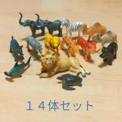 動物フィギュア　ガチャガチャ　14体セット