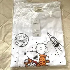 ポルノグラフィティ ミュージシャン