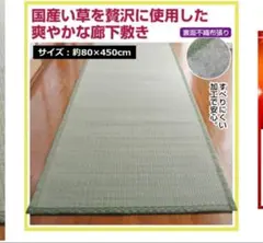 Item thumbnail for item cf988695-07ee-4357-83fe-eed0e4511956