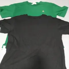 LOGOS DAYS 緑色 Tシャツ セット