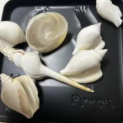 城元勇樹様 リクエスト 2点 まとめ商品