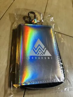 公式完売品 倖田來未 D.A.Dコラボ カーグッズ スマートキーケース